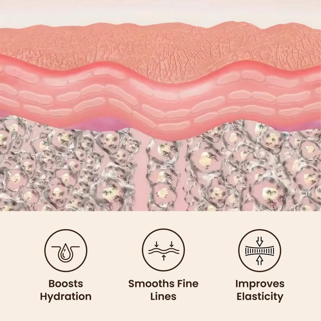 How GloraMD works